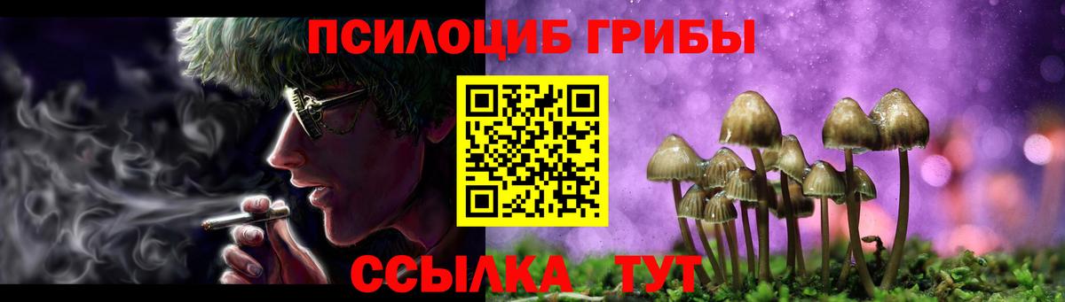 Гудермес  Галлюциногенные грибы Magic Shrooms  Вход с VPN 